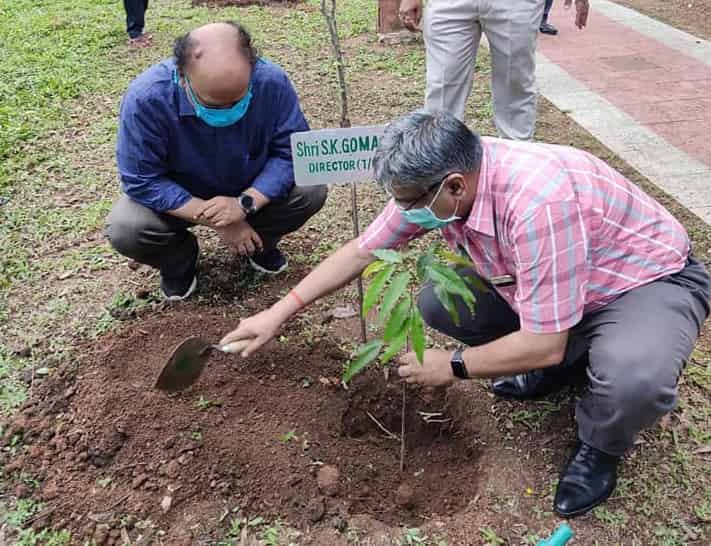 CMPDI Celebrated World Environment Day 2020