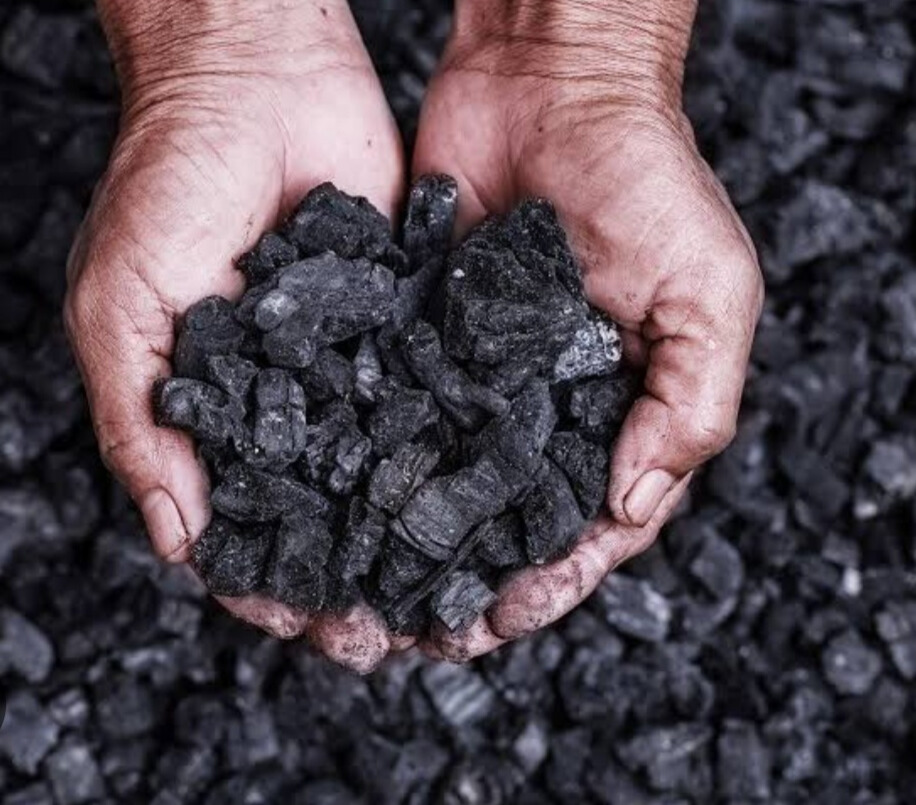 Coal sector records highest ever growth in 2024, production up 7.28 percent, dispatch rises 6.5 percent