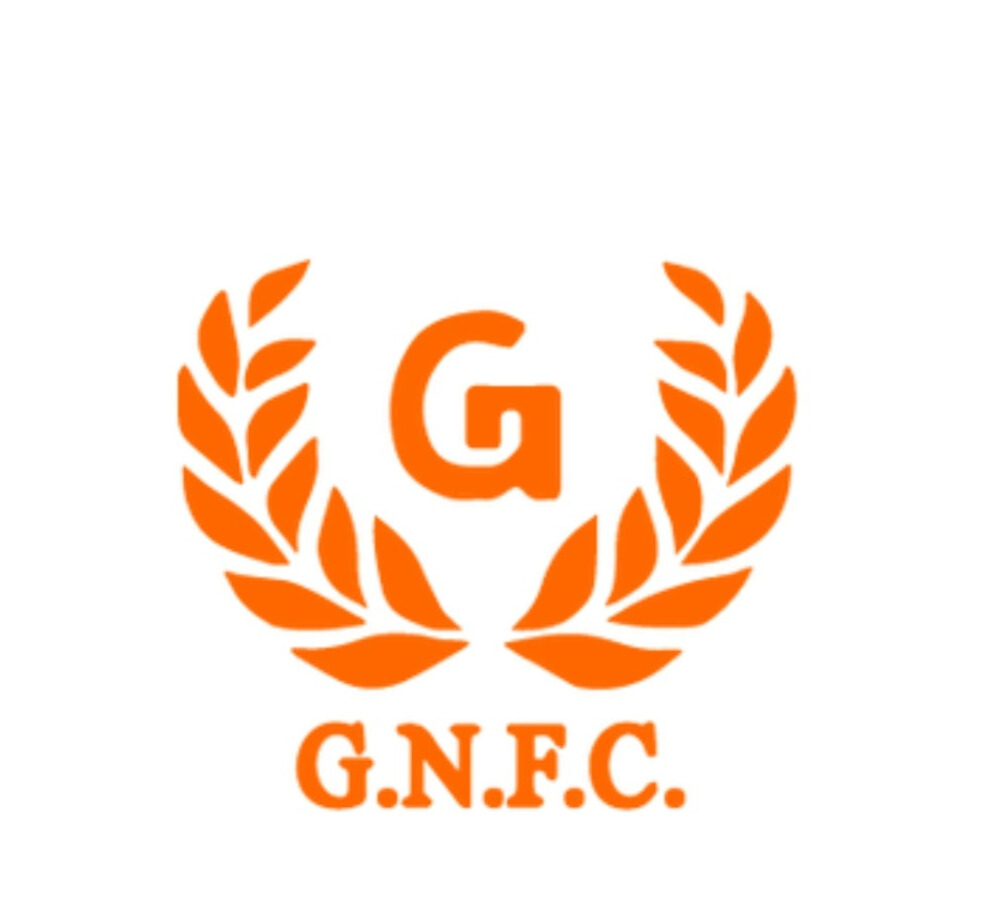 GNFC dividend 2024, PSU to give165% dividend payout