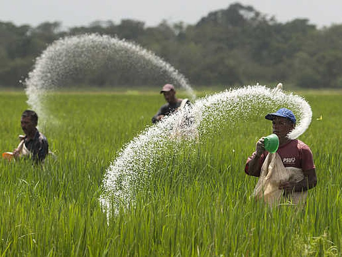 National Fertilisers to build Rs 208 crore fertiliser plant