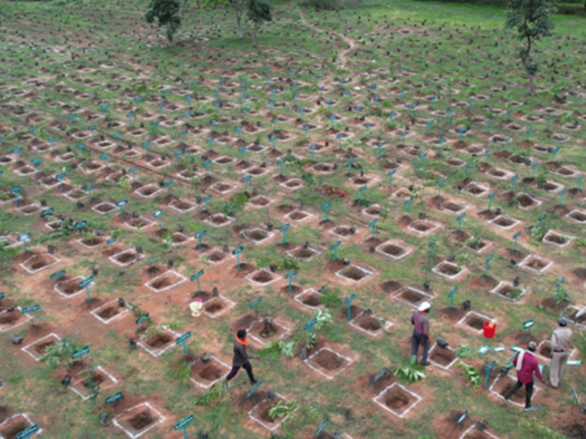 SECL plants over 1.46 Lakh Saplings under Ek Ped Maa Ke Naam campaign