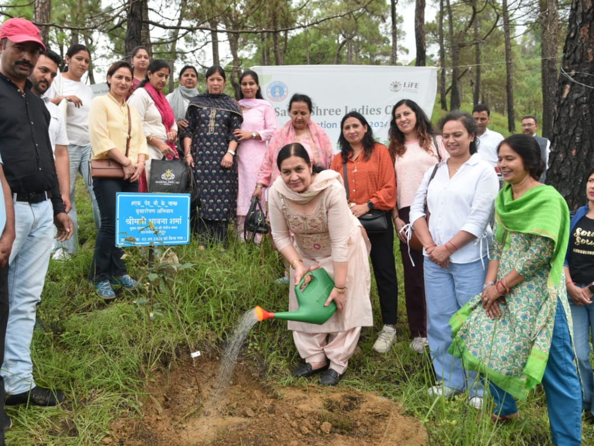 SJVN Initiates Major Plantation Drive Under National Plant4 Mother Campaign