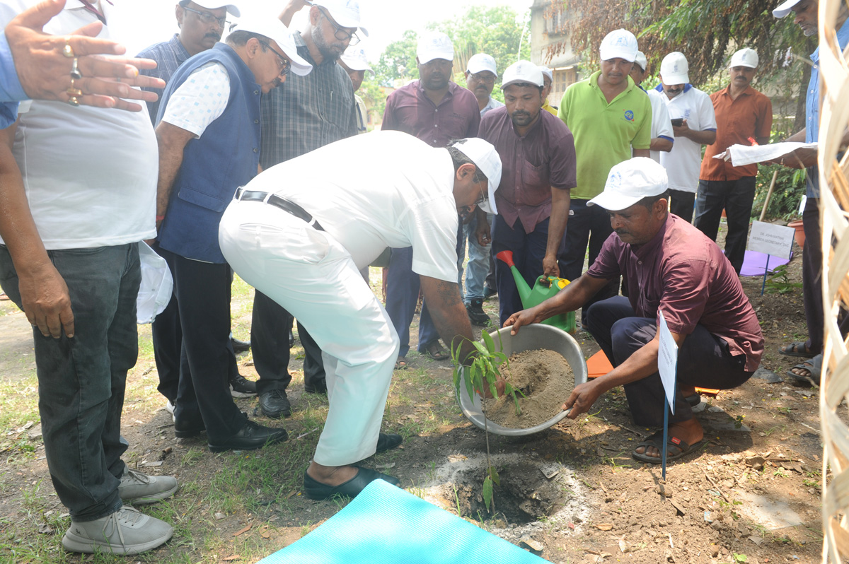 DVC Observation of World Environment Day 2024