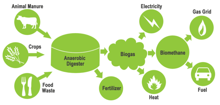 IOC Plans More Compressed Biogas Units In Tamil Nadu