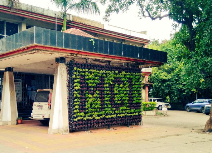 Mahanadi Coalfields Ltd creates vertical garden at Basundhara 