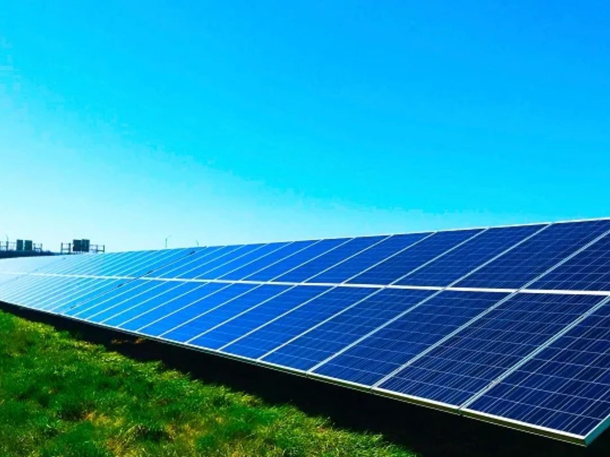 SJVN wins 200 MW Solar Power Project in Maharashtra