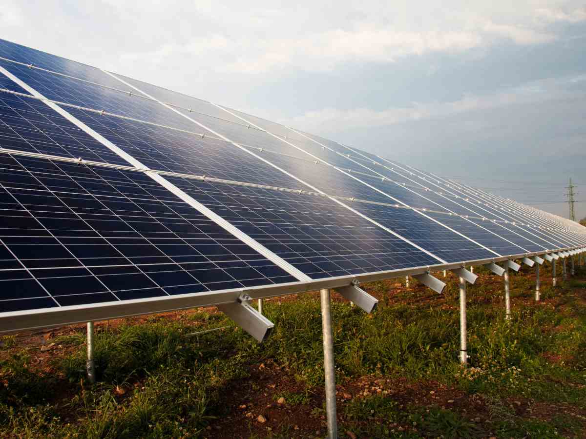 Vikram Solar Wins 393.9 MWp Module Supply Order for NLC India’s Khavda Solar Project